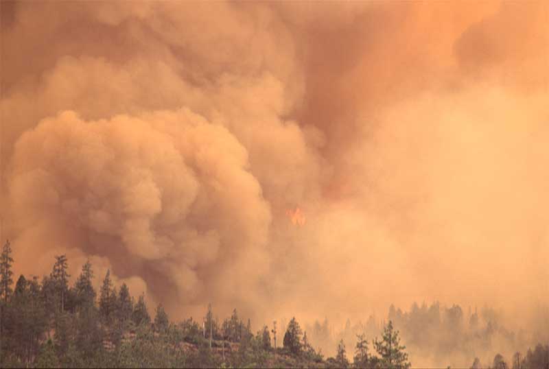 jose mier affected by sun valley smoke in air