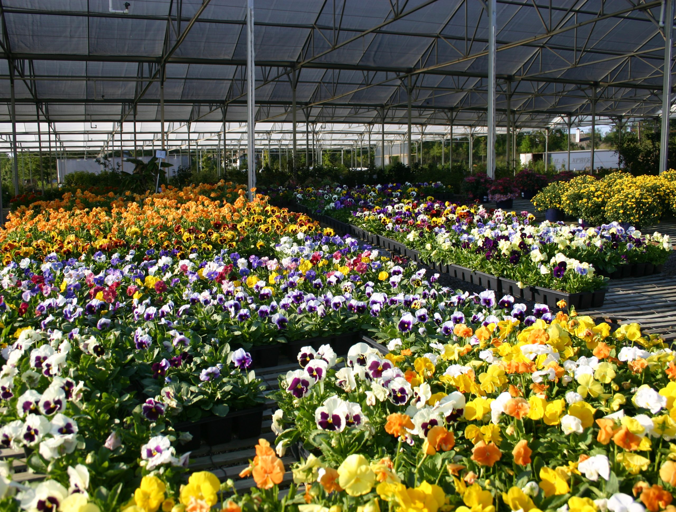 Jose Mier: Nick’s Nursery and the Green Side of Sun Valley